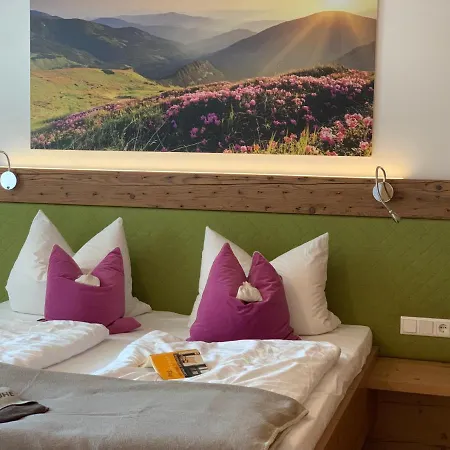 Bergtraeume Mit Seeblick * Zell am See